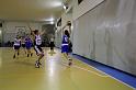 Basket 242063